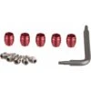 AVID KIT Spina + Oliva Per Taglio Tubi Freno Sram Stealth-a-Majig 5 PEZZI